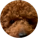 Y Y profile picture